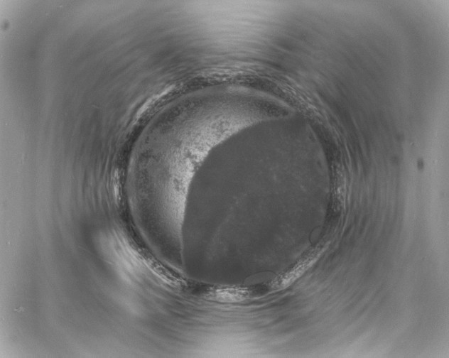 X0000060790758200511171308