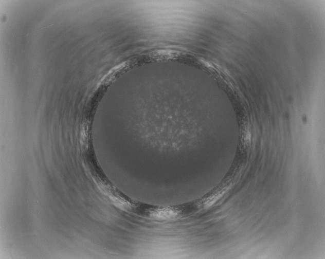 X0000060790759200511171308