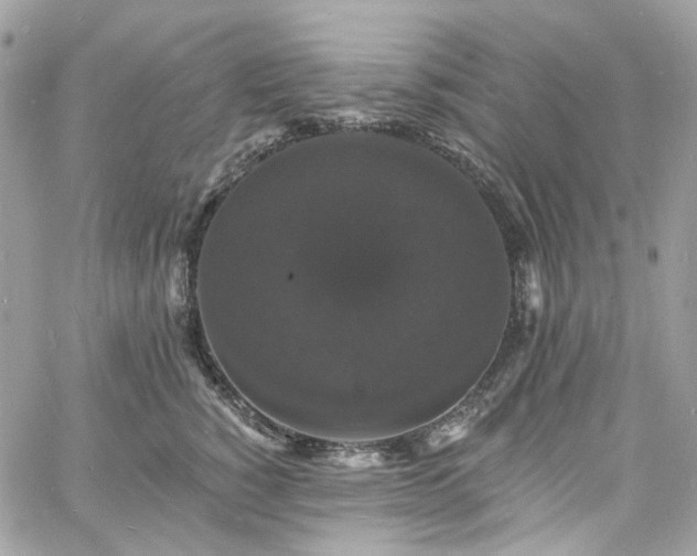 X0000060790760200511171308