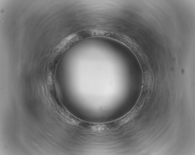 X0000060790761200511171308