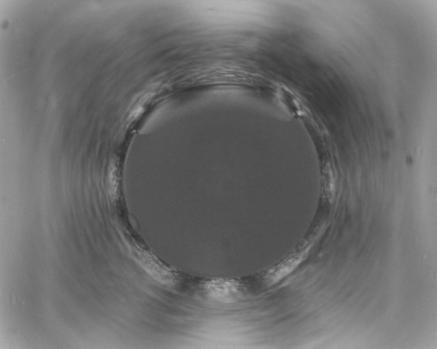 X0000060790762200511171308