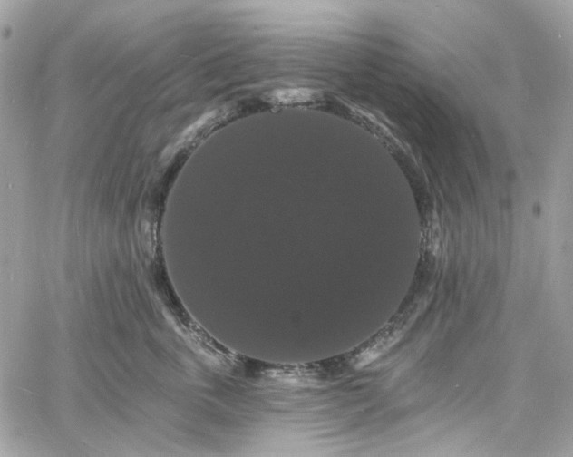 X0000060790763200511171308