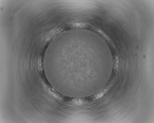 X0000060790764200511171308