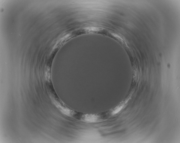 X0000060790766200511171308