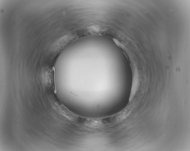 X0000060790768200511171308