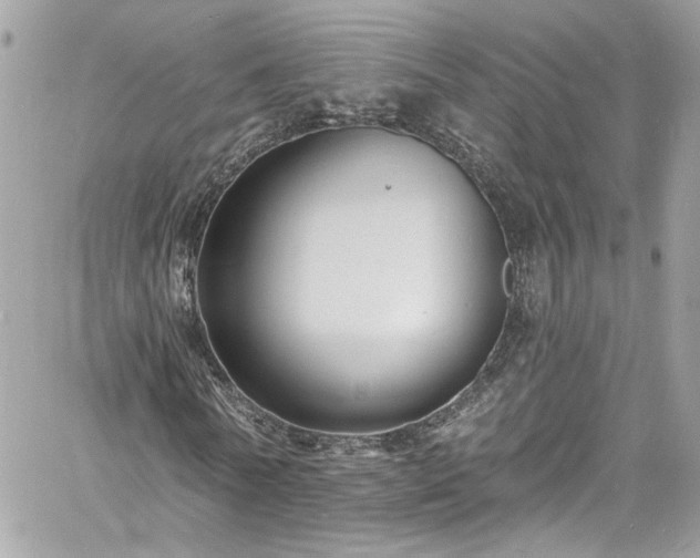 X0000060790770200511171307