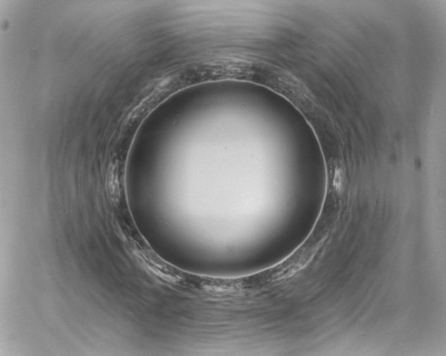 X0000060790771200511171307