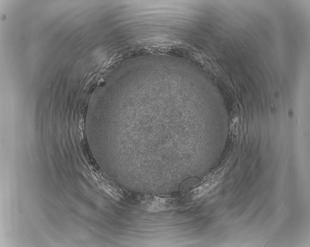 X0000060790772200511171307