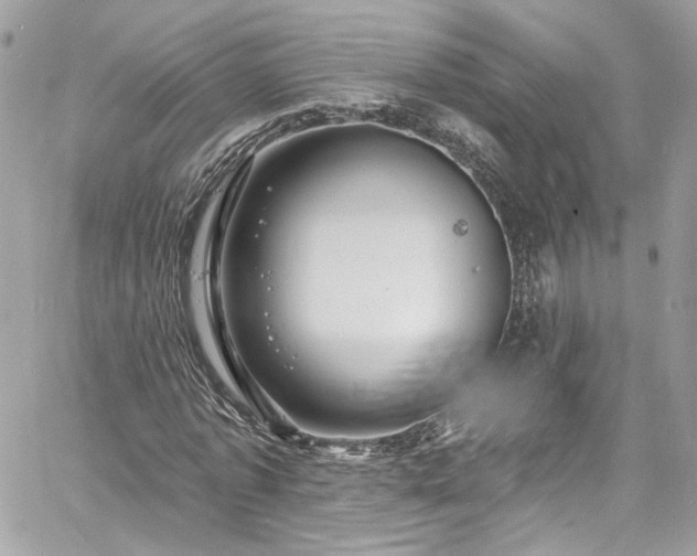 X0000060790773200511171307