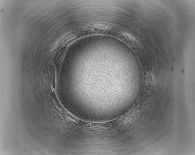 X0000060790774200511171307