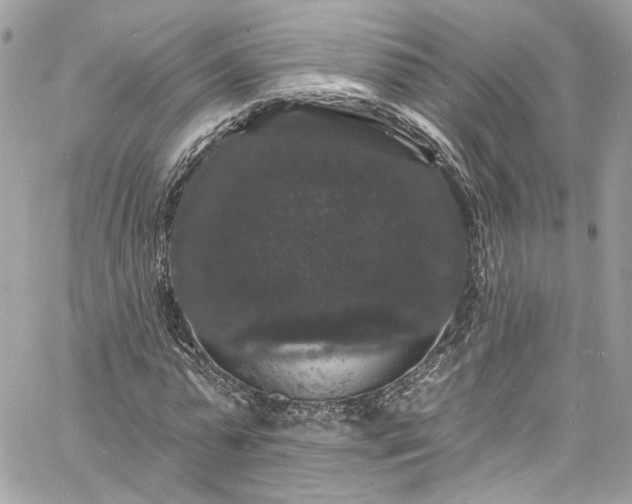 X0000060790775200511171307