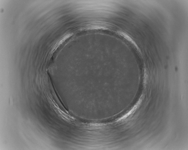 X0000060790777200511171307