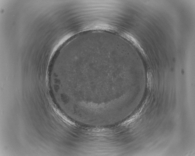 X0000060790780200511171307