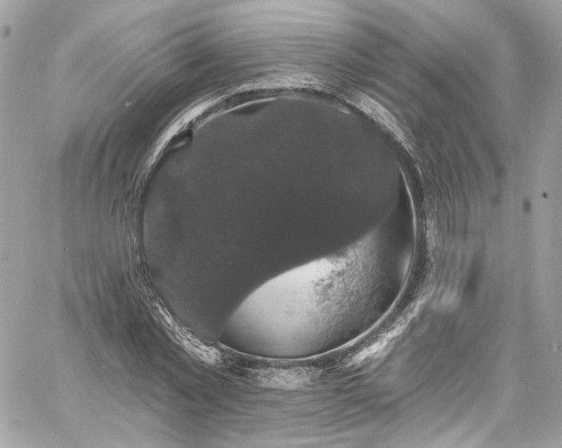 X0000060790781200511171307