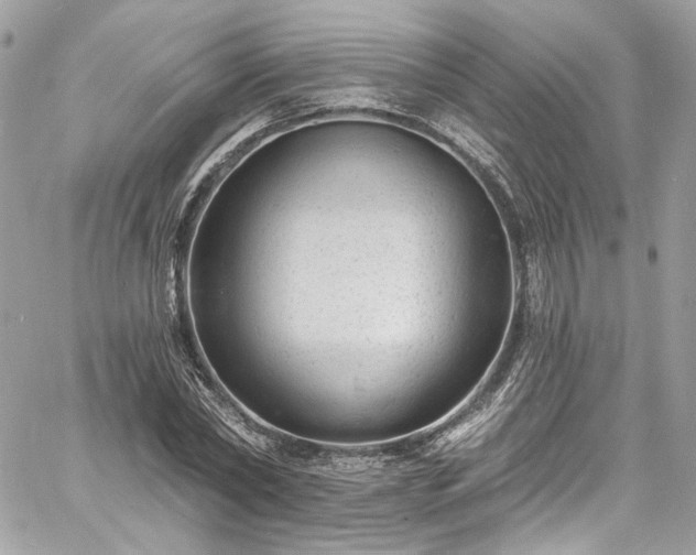 X0000060790782200511171307