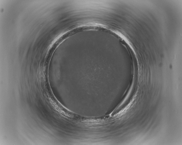 X0000060790783200511171307