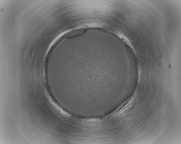 X0000060790784200511171307