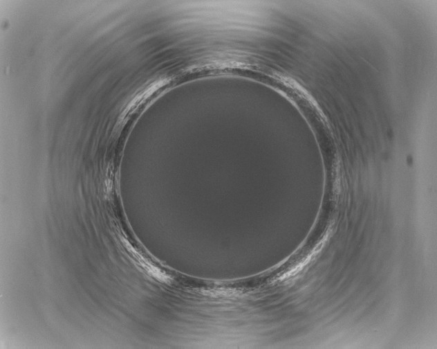 X0000060790785200511171307