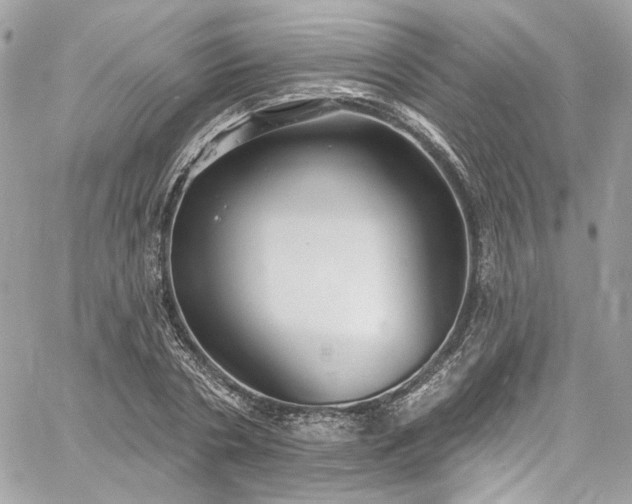 X0000060790786200511171307