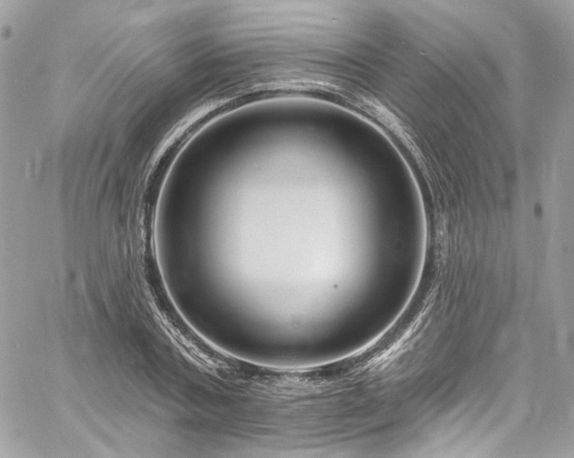 X0000060790787200511171307