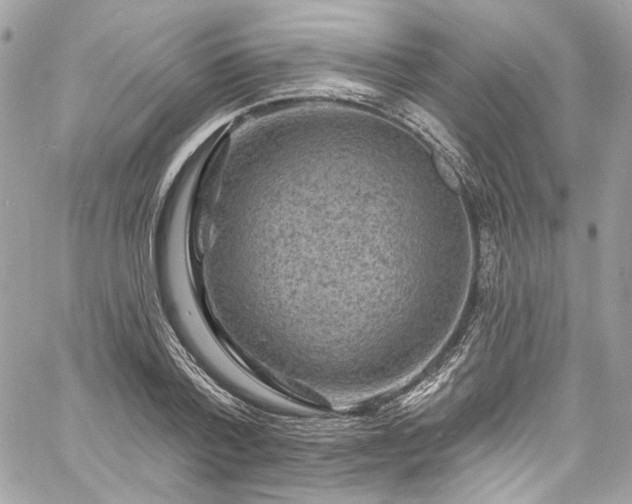 X0000060790788200511171307