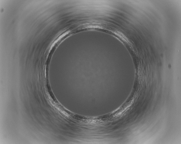 X0000060790790200511171307