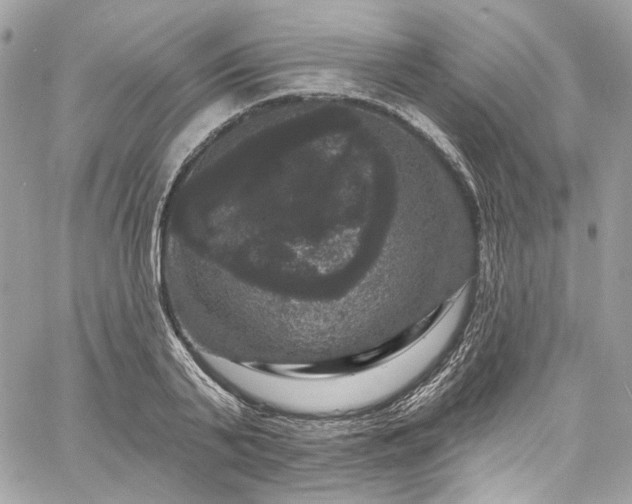 X0000060790791200511171307