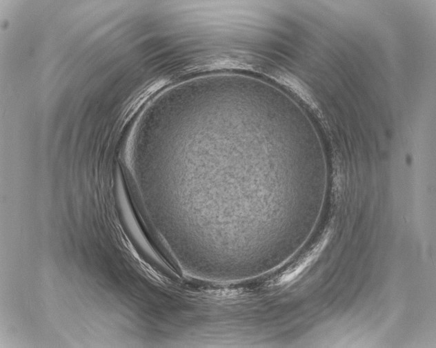 X0000060790793200511171307