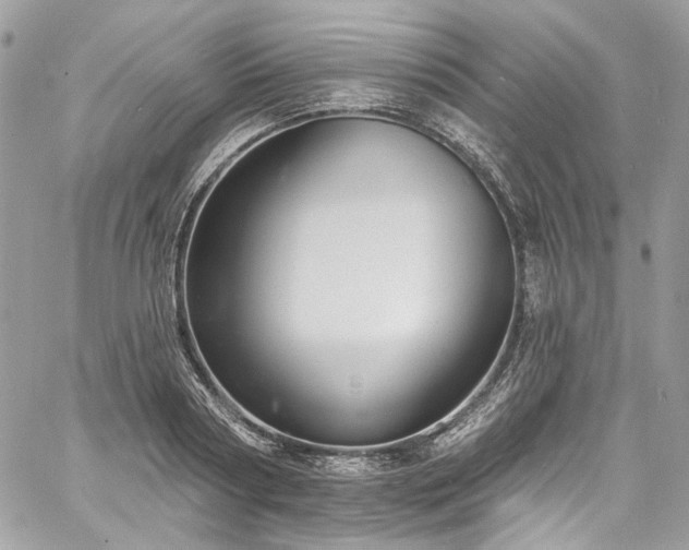 X0000060790794200511171307