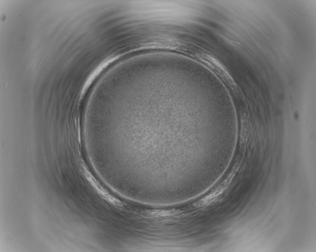 X0000060790796200511171307