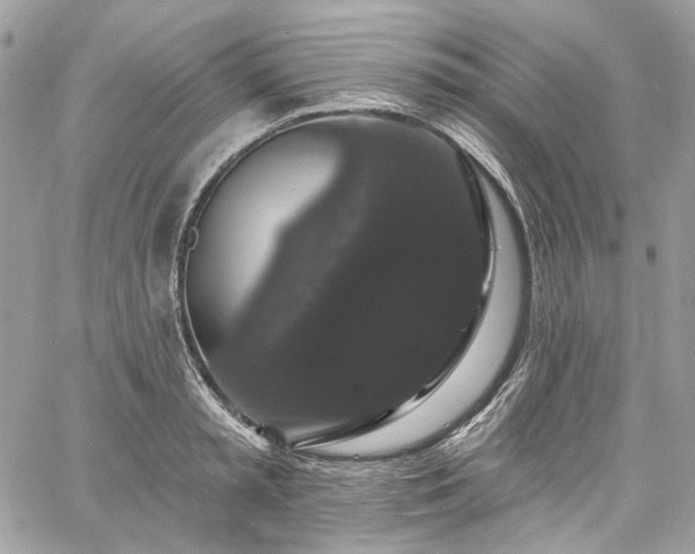 X0000060790797200511171307