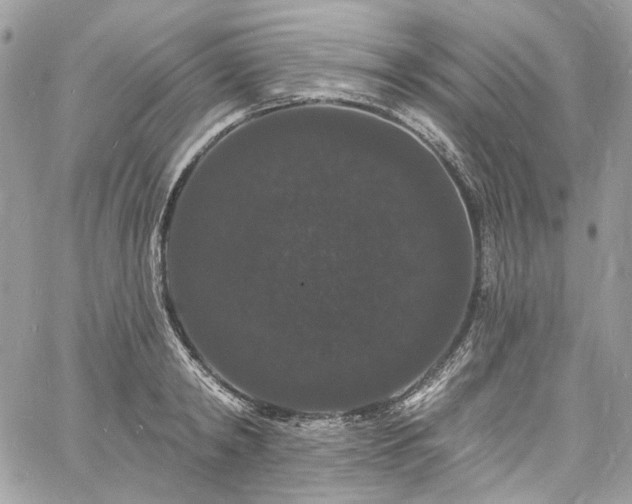 X0000060790798200511171307