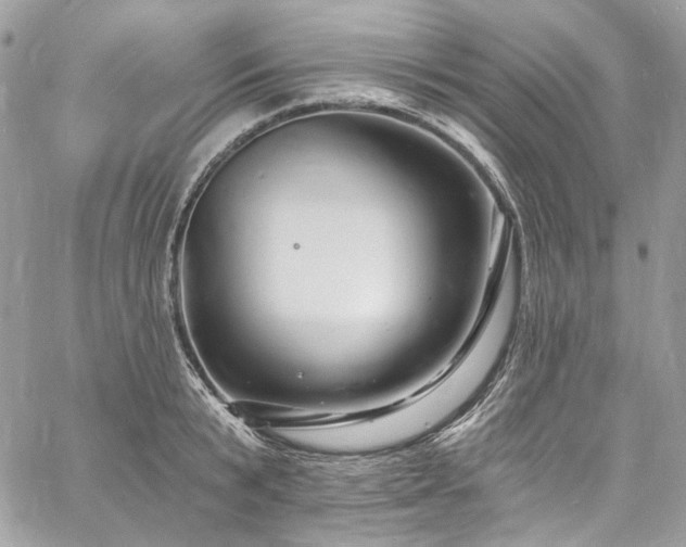 X0000060790799200511171307