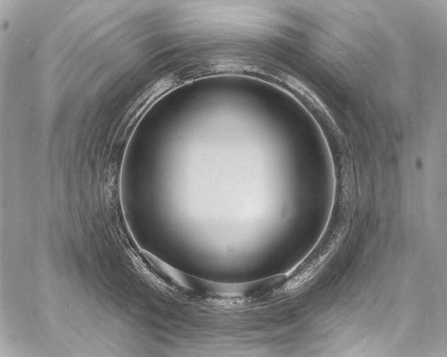 X0000060790801200511171307