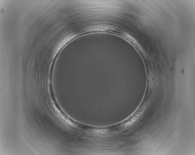 X0000060790802200511171307