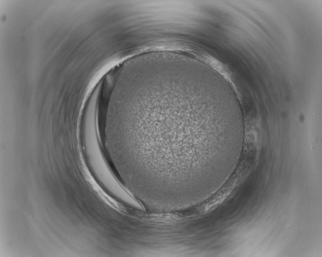 X0000060790803200511171307