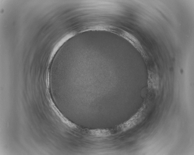 X0000060790804200511171307