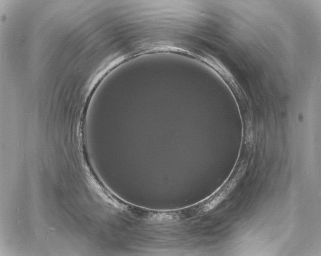 X0000060790806200511171307