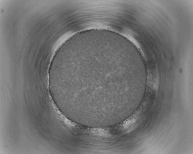 X0000060790807200511171307