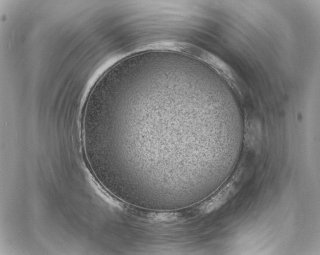 X0000060790808200511171307