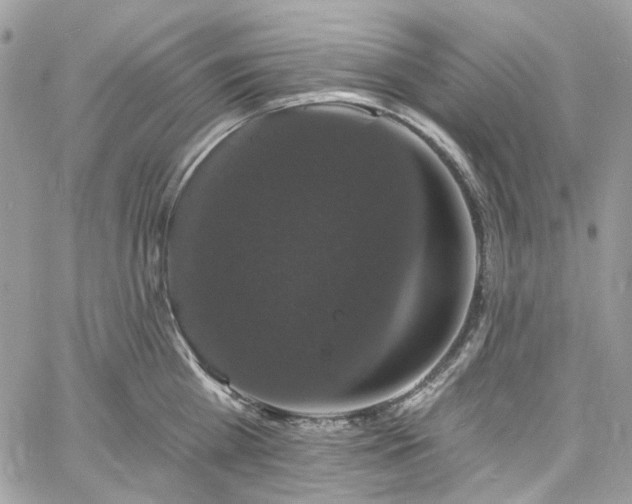 X0000060790809200511171307