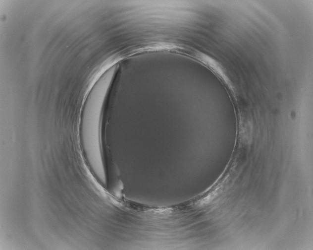 X0000060790810200511171307