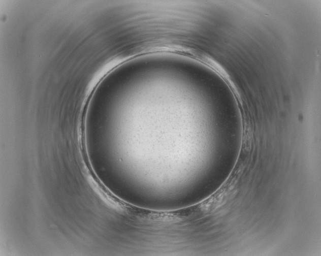 X0000060790811200511171307