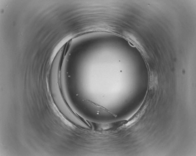 X0000060790812200511171306