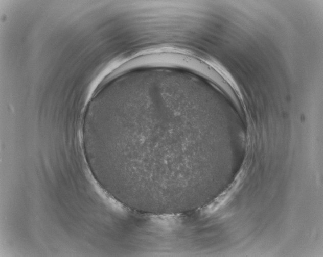 X0000060790813200511171306