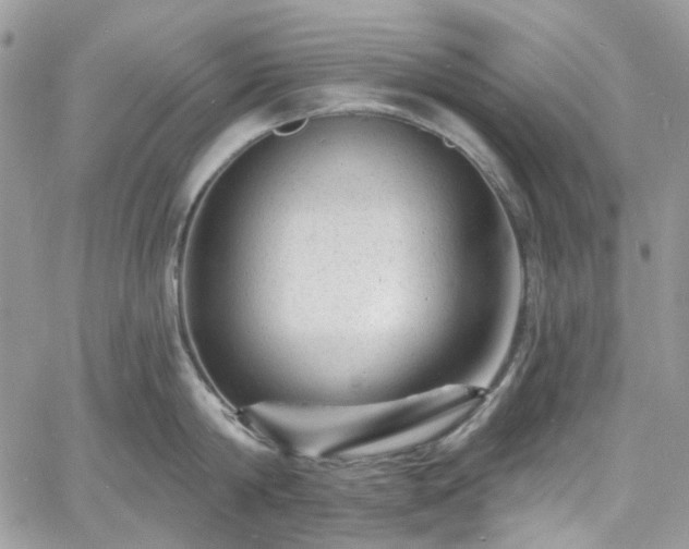 X0000060790814200511171306