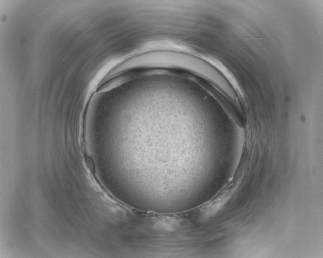 X0000060790815200511171306