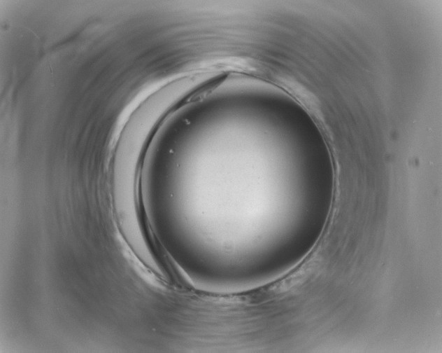 X0000060790816200511171306