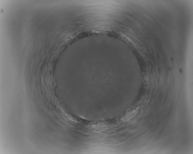 X0000060790817200511171306