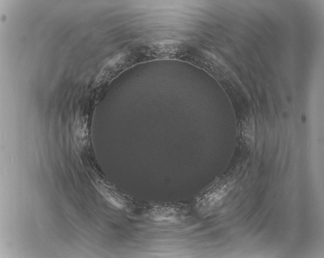 X0000060790818200511171306